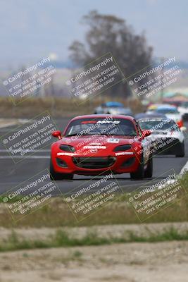 media/Mar-16-2025-CalClub SCCA (Sun) [[e72803ec8c]]/Group 2/Race (Turn 9)/